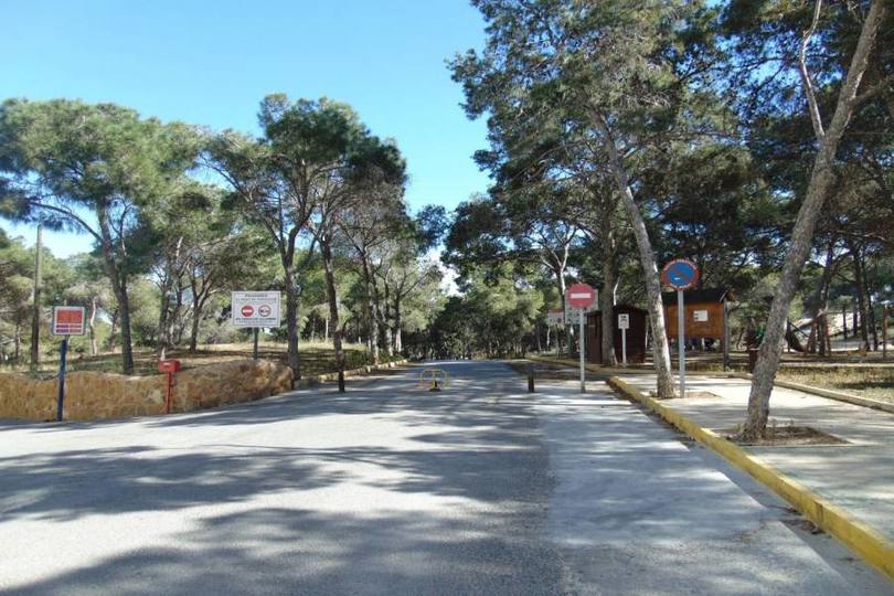 Guardamar del Segura,Alicante,España,1 Dormitorio Bedrooms,1 BañoBathrooms,Pisos,10231