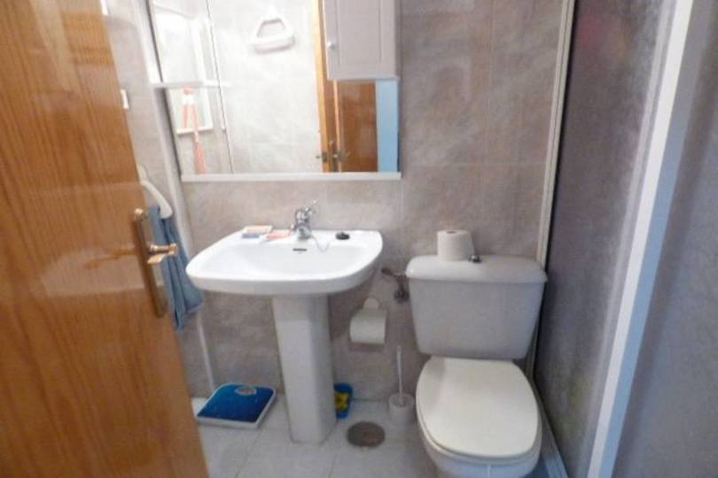 Torrevieja,Alicante,España,1 Dormitorio Bedrooms,1 BañoBathrooms,Pisos,10263