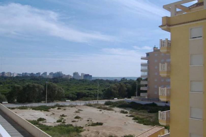 Guardamar del Segura,Alicante,España,2 Bedrooms Bedrooms,2 BathroomsBathrooms,Pisos,11447