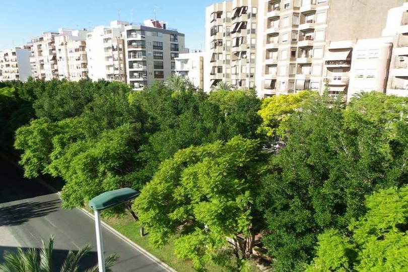 Elche,Alicante,España,3 Bedrooms Bedrooms,2 BathroomsBathrooms,Pisos,12036