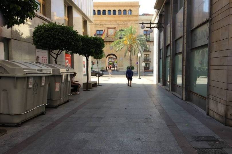 Elche,Alicante,España,3 Bedrooms Bedrooms,1 BañoBathrooms,Pisos,12069