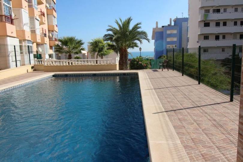 Torrevieja,Alicante,España,1 BañoBathrooms,Pisos,12095