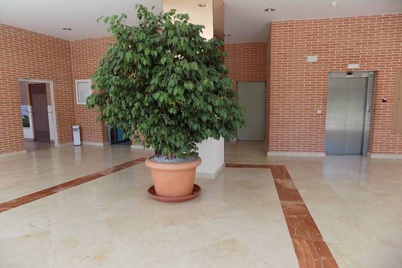 Benidorm,Alicante,España,3 Bedrooms Bedrooms,2 BathroomsBathrooms,Pisos,12120