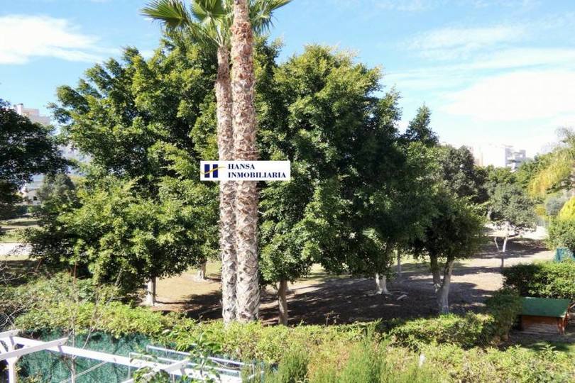 San Juan playa,Alicante,España,4 Bedrooms Bedrooms,2 BathroomsBathrooms,Pisos,12219