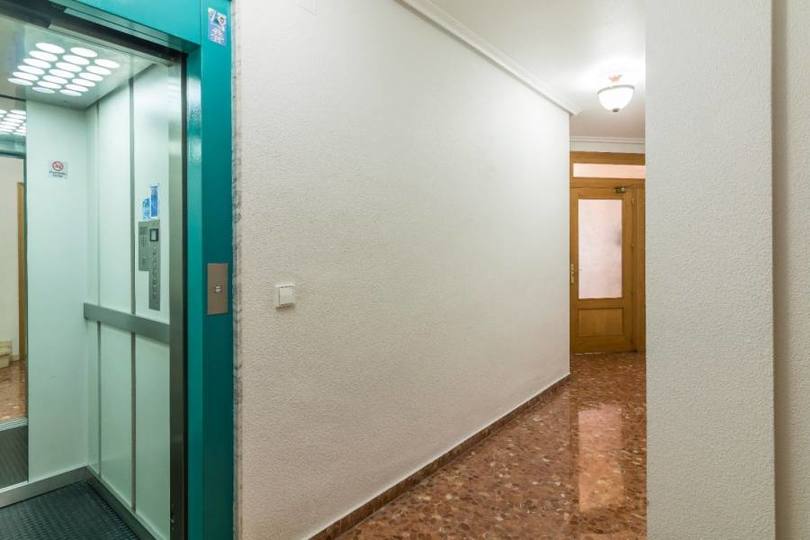 Elche,Alicante,España,3 Bedrooms Bedrooms,1 BañoBathrooms,Pisos,12316