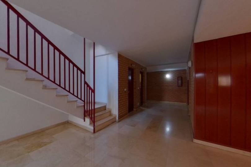 Torrevieja,Alicante,España,1 Dormitorio Bedrooms,1 BañoBathrooms,Pisos,12330