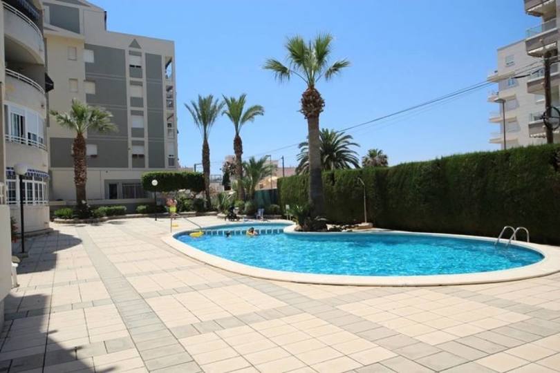 Torrevieja,Alicante,España,1 Dormitorio Bedrooms,1 BañoBathrooms,Pisos,12333