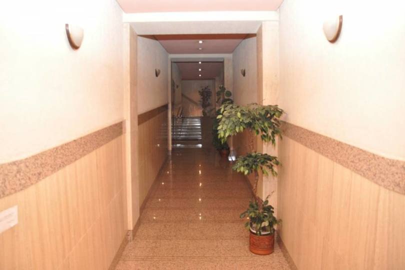 Torrevieja,Alicante,España,4 Bedrooms Bedrooms,2 BathroomsBathrooms,Pisos,12348