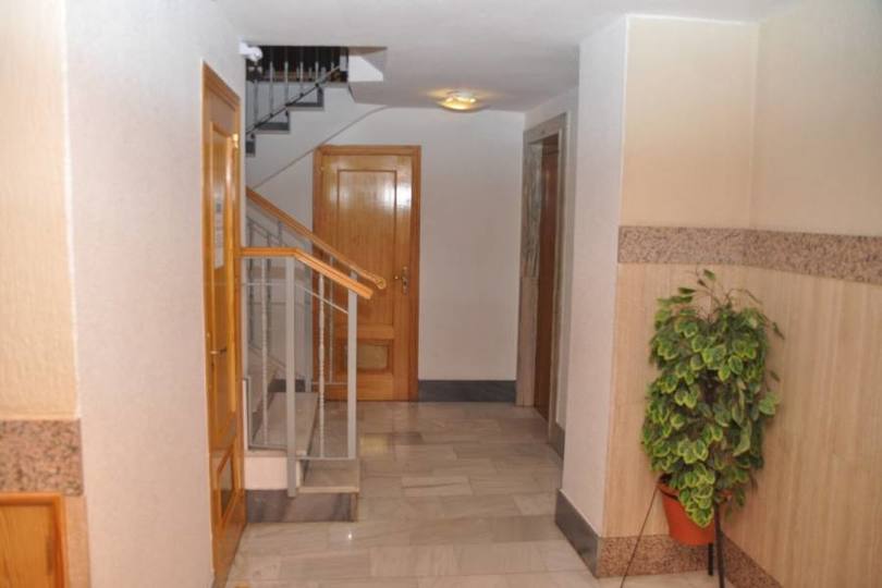 Torrevieja,Alicante,España,4 Bedrooms Bedrooms,2 BathroomsBathrooms,Pisos,12348