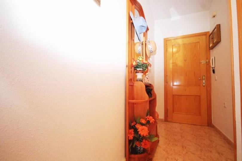Torrevieja,Alicante,España,2 Bedrooms Bedrooms,1 BañoBathrooms,Pisos,12369