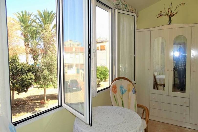 Torrevieja,Alicante,España,1 Dormitorio Bedrooms,1 BañoBathrooms,Pisos,12385