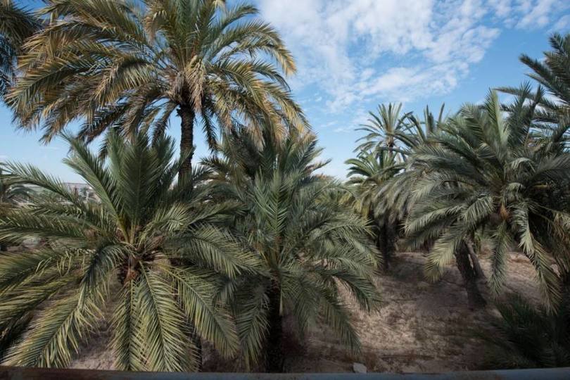 Elche,Alicante,España,3 Bedrooms Bedrooms,1 BañoBathrooms,Pisos,12474