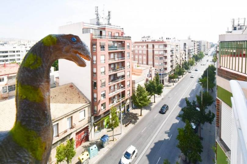 Elche,Alicante,España,3 Bedrooms Bedrooms,2 BathroomsBathrooms,Pisos,12559