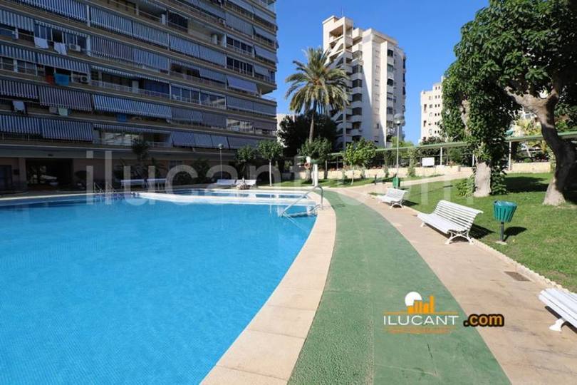 Alicante,Alicante,España,2 Bedrooms Bedrooms,2 BathroomsBathrooms,Pisos,12603