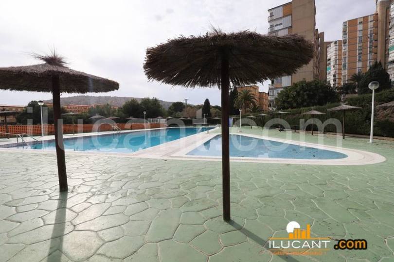 Alicante,Alicante,España,4 Bedrooms Bedrooms,1 BañoBathrooms,Pisos,12647