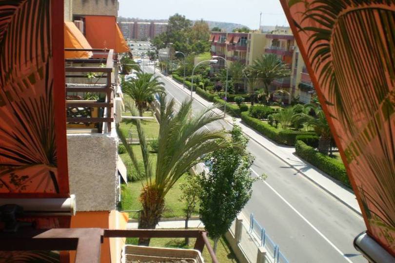 Alicante,Alicante,España,4 Bedrooms Bedrooms,1 BañoBathrooms,Pisos,12693