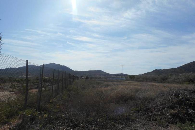Hondón de los Frailes,Alicante,España,3 Habitaciones Habitaciones,2 BañosBaños,Fincas-Villas,2117