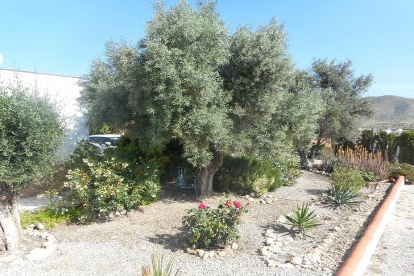 Hondón de los Frailes,Alicante,España,3 Habitaciones Habitaciones,2 BañosBaños,Fincas-Villas,2117
