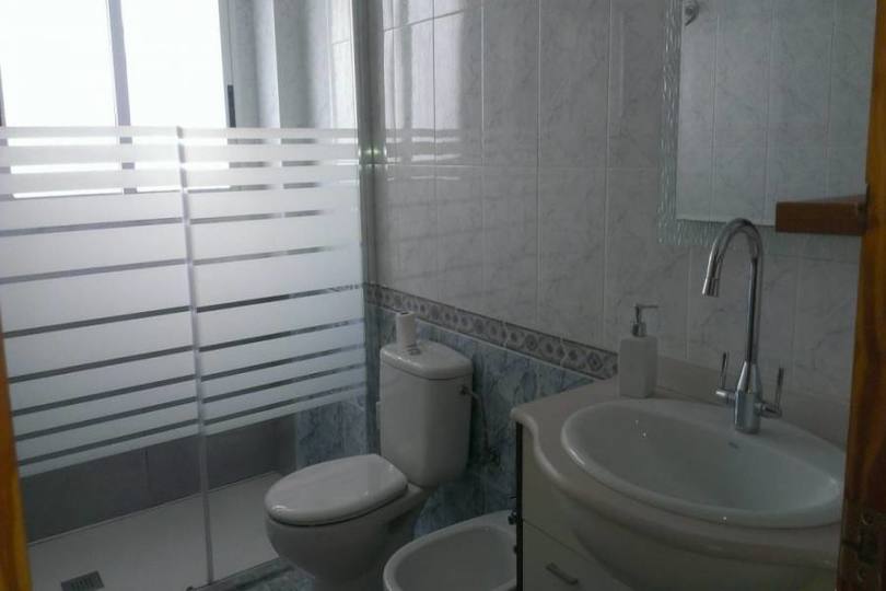 San Vicente del Raspeig,Alicante,España,1 Dormitorio Bedrooms,1 BañoBathrooms,Pisos,13951