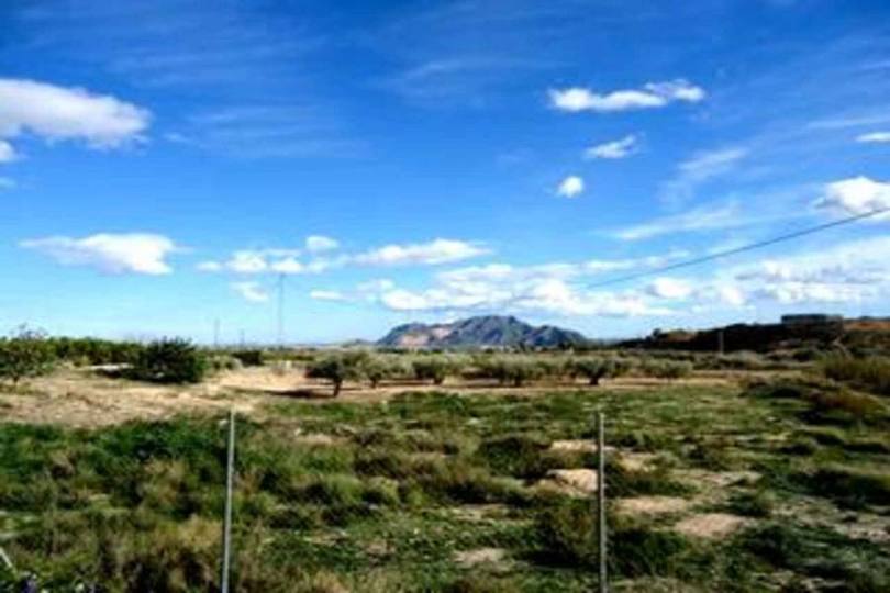 Orihuela,Alicante,España,3 Habitaciones Habitaciones,2 BañosBaños,Fincas-Villas,2142