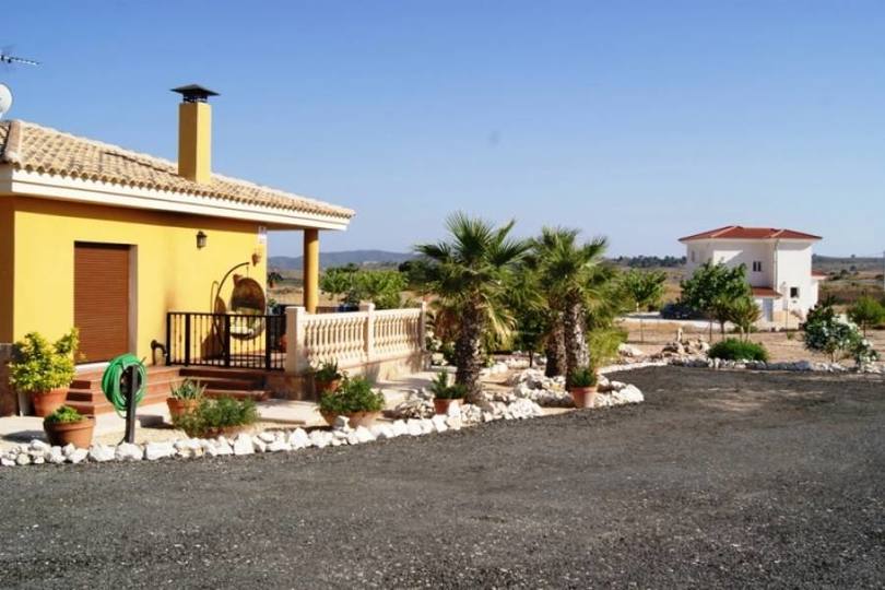 Pinoso,Alicante,España,3 Habitaciones Habitaciones,2 BañosBaños,Fincas-Villas,2147