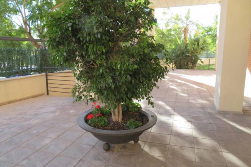 Alicante,Alicante,España,3 Bedrooms Bedrooms,2 BathroomsBathrooms,Pisos,14410