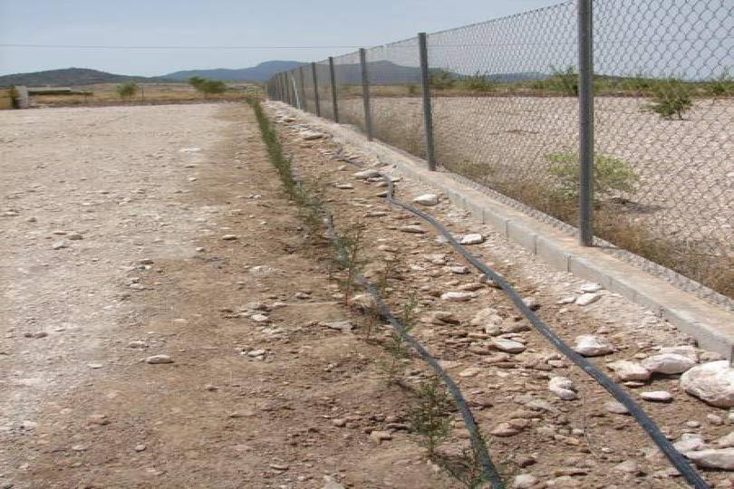 Cañada del Trigo,Alicante,España,3 Habitaciones Habitaciones,2 BañosBaños,Fincas-Villas,2187