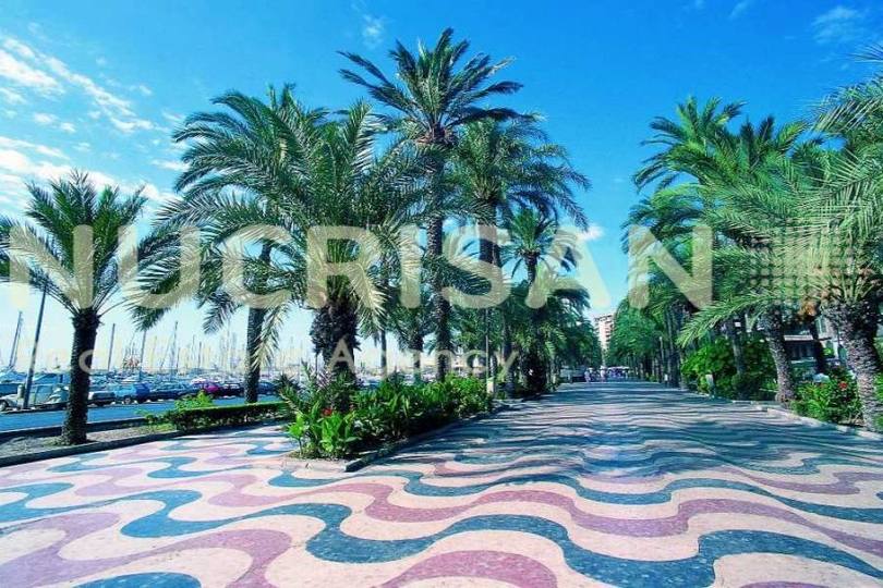 Alicante,Alicante,España,3 Bedrooms Bedrooms,2 BathroomsBathrooms,Pisos,14527