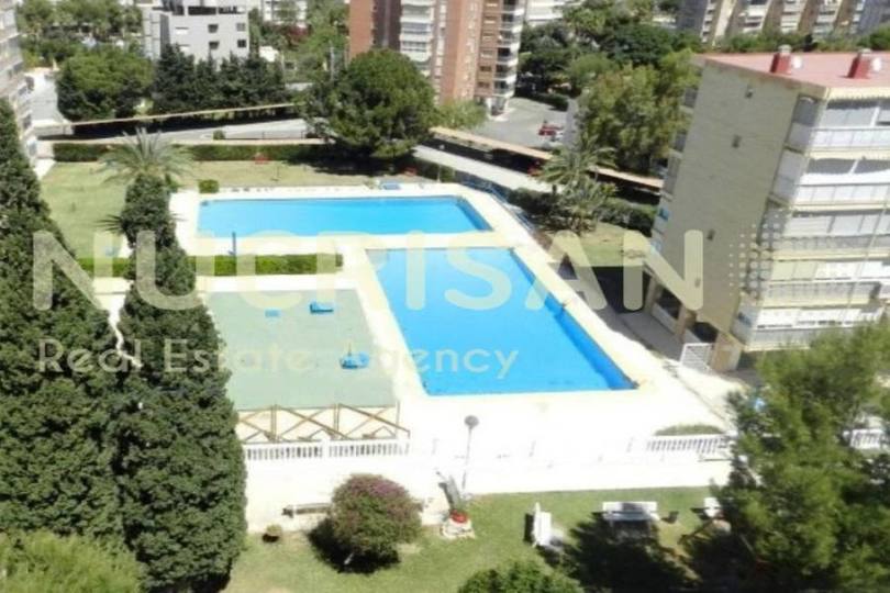 Alicante,Alicante,España,1 Dormitorio Bedrooms,1 BañoBathrooms,Pisos,14552
