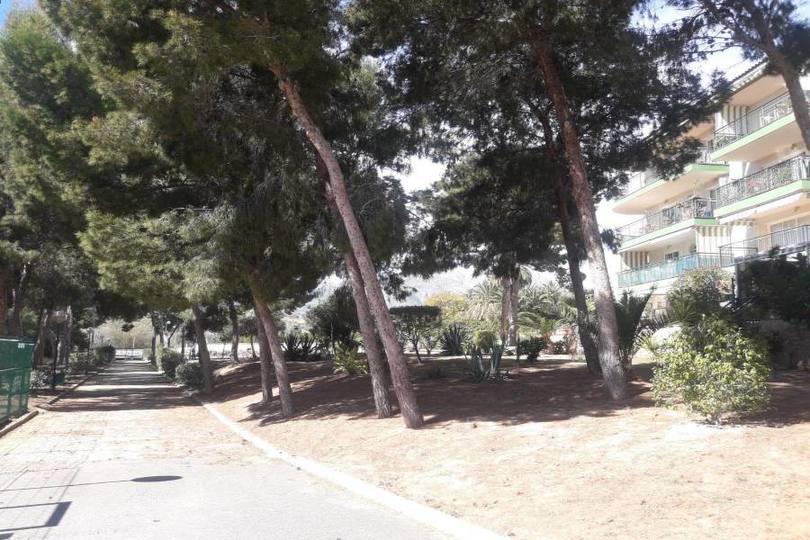 Alfaz del Pi,Alicante,España,2 Bedrooms Bedrooms,1 BañoBathrooms,Pisos,14605