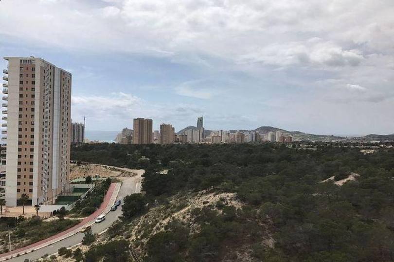 Benidorm,Alicante,España,1 Dormitorio Bedrooms,1 BañoBathrooms,Pisos,14645