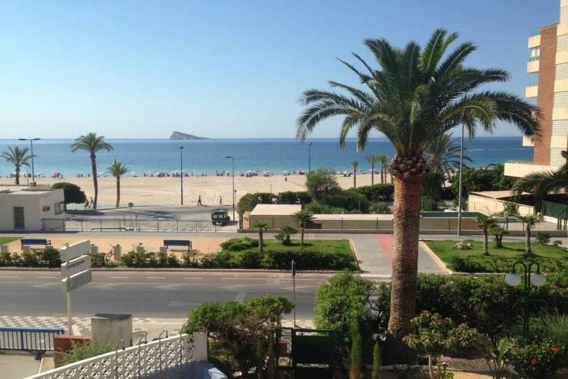 Benidorm,Alicante,España,3 Bedrooms Bedrooms,2 BathroomsBathrooms,Pisos,14656