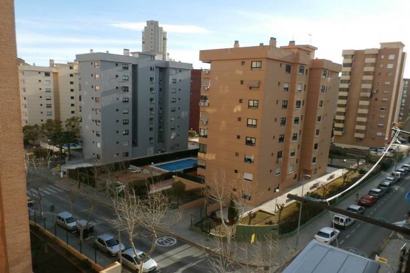 Benidorm,Alicante,España,1 Dormitorio Bedrooms,1 BañoBathrooms,Pisos,14693