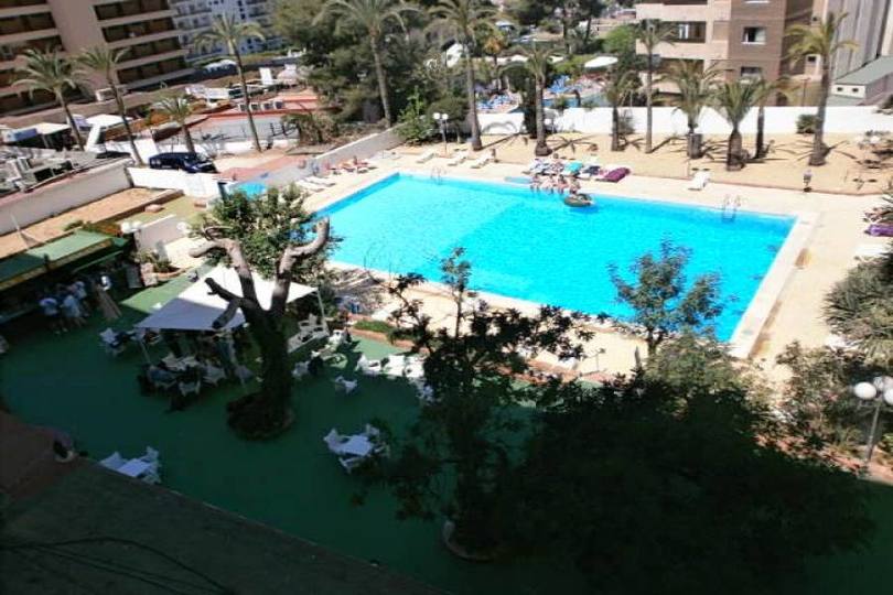 Benidorm,Alicante,España,1 Dormitorio Bedrooms,1 BañoBathrooms,Pisos,14705