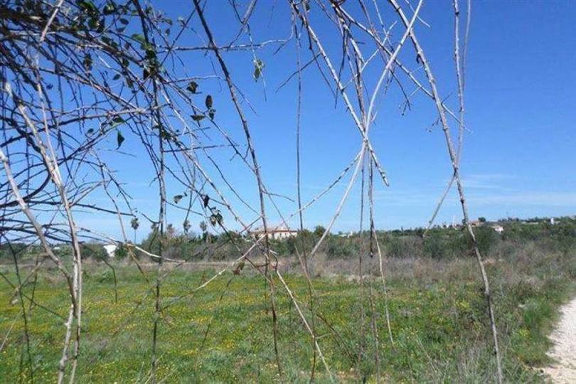 Pedreguer,Alicante,España,Casas,14856