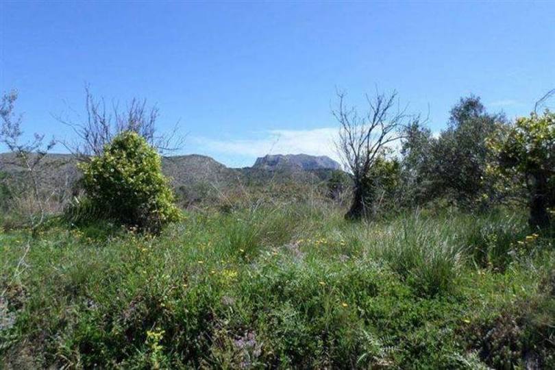 Pedreguer,Alicante,España,Casas,14856