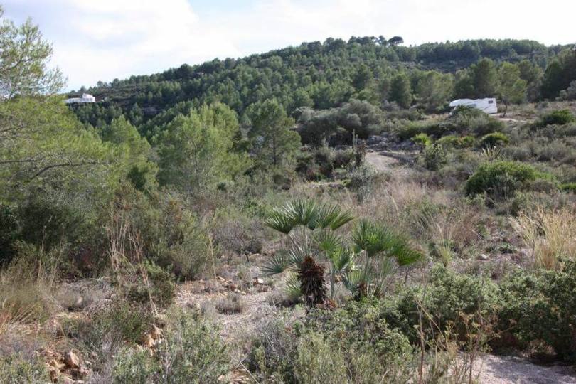 Benidoleig,Alicante,España,Casas,14880