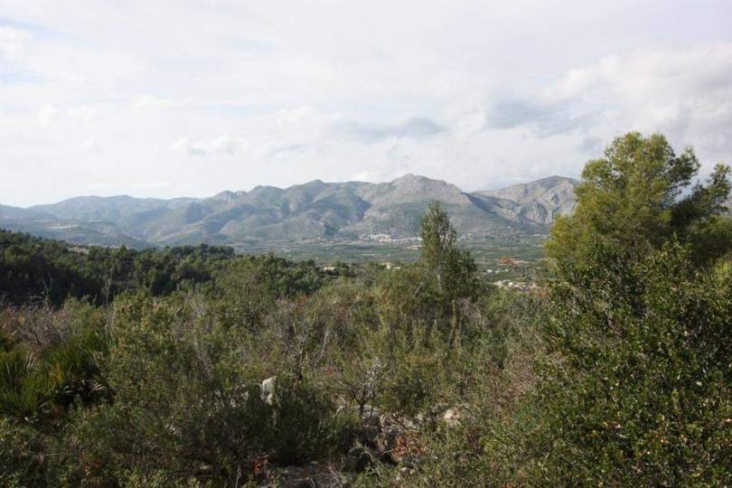 Benidoleig,Alicante,España,Casas,14880