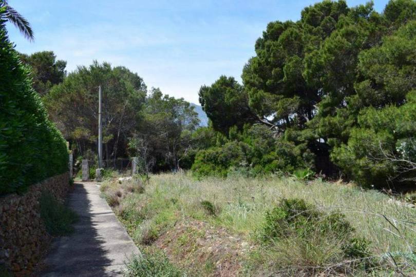 Dénia,Alicante,España,Casas,14884