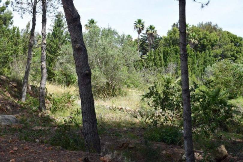 Dénia,Alicante,España,Casas,14884