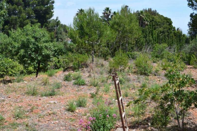 Dénia,Alicante,España,Casas,14884