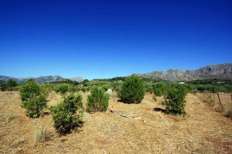 Beniarbeig,Alicante,España,Casas,14893