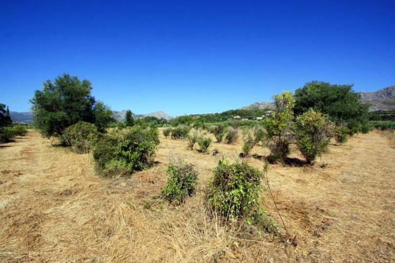 Beniarbeig,Alicante,España,Casas,14893