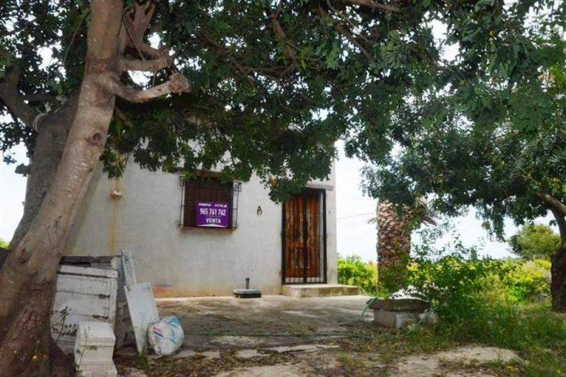 Pedreguer,Alicante,España,1 Dormitorio Bedrooms,1 BañoBathrooms,Casas,14921