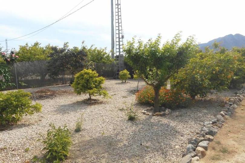 Callosa de Segura,Alicante,España,3 Habitaciones Habitaciones,3 BañosBaños,Fincas-Villas,2255