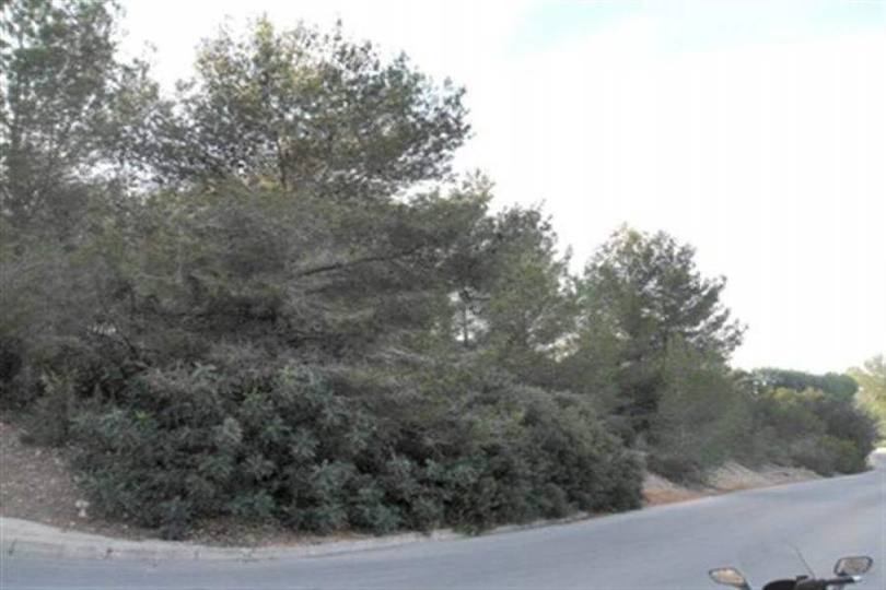 Dénia,Alicante,España,Casas,15130