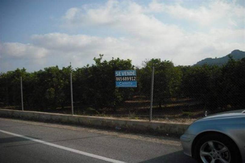 Pedreguer,Alicante,España,Casas,15139