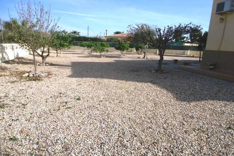 Catral,Alicante,España,3 Habitaciones Habitaciones,2 BañosBaños,Fincas-Villas,2262