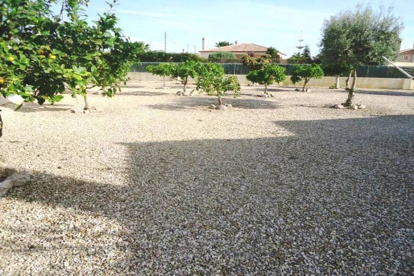 Catral,Alicante,España,3 Habitaciones Habitaciones,2 BañosBaños,Fincas-Villas,2262