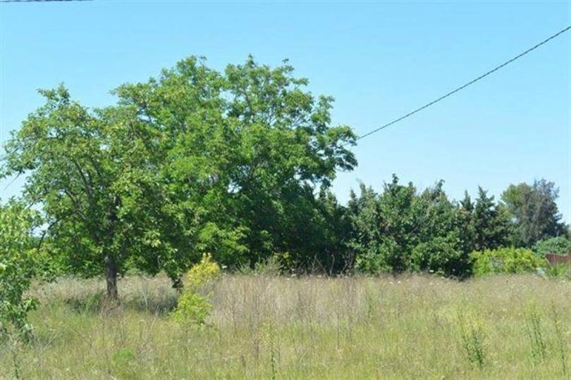 Pedreguer,Alicante,España,Casas,15190